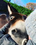 Our Nativity Miracle Needs YOU