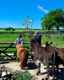 Our Nativity Miracle Needs YOU