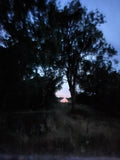 Come and Stay in our Off Grid Luxury Lotus Bell Tents