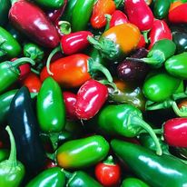 Hot Chilli Sauce Course - Candied Jalapenos at Duckling Barn