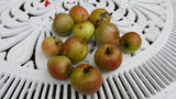 Lord Lambourne's Scrumpy Butter with Calvados - Great Taste Award - The Preservation Society 