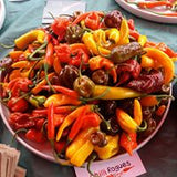 Hot Chilli Sauce Course - Feel the Heat! - The Preservation Society 